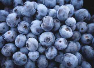 Zaczynamy sezon na jagody