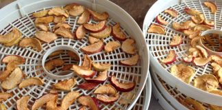 Chipsy z jabłek smaczny przepis