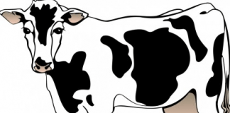 Czy wiesz jaki jogurt jesz?