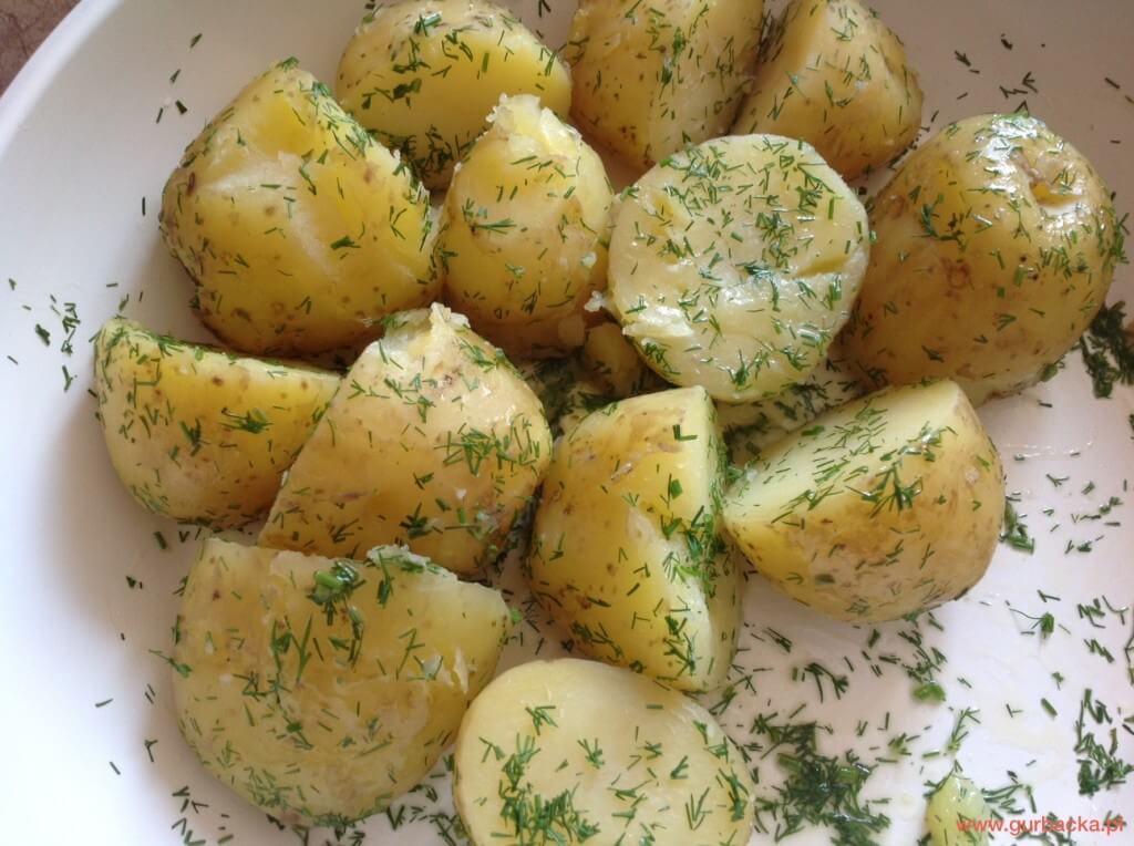 gotowane ziemniaki przepisy katarzyna gurbacka