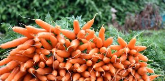 17 produktów OPÓŹNIAJĄCYCH STARZENIE-bardzo skuteczne! Jedźmy je codziennie!