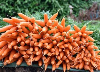 17 produktów OPÓŹNIAJĄCYCH STARZENIE-bardzo skuteczne! Jedźmy je codziennie!