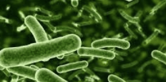 Jak PORZĄDNIE się wypróżnić (i szybciej schudnąć-nawet 5kg!)