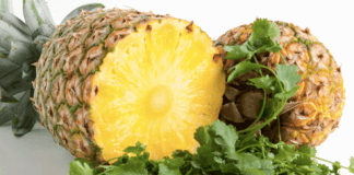 Oto 3 NAPOJE, które przyspieszają odchudzanie (nawet o 20%)