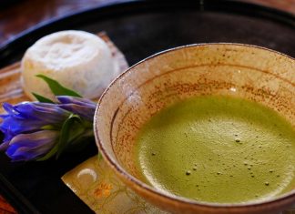 Matcha (dziwny zielony proszek) 8 powodów dla których warto go jeść