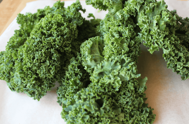 Naturalne lekarstwo na raka, poznaj jarmuż.