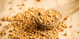 5 rozgrzewających przypraw, które podnoszą temperaturę ciała i pomagają schudnąć.