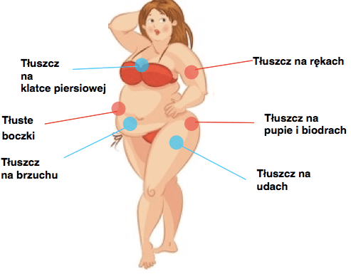6 hormonów odpowiedzialnych za tłuszcz na brzuchu, udach, biodrach i pupie (czy masz je w normie?)
