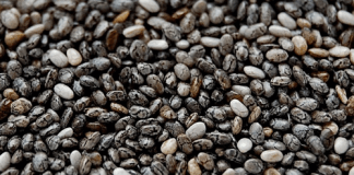 9 rodzajów roślinnego białka, które warto dodać do codziennej diety