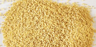 Kasza jaglana – dlaczego warto ją jeść i z czym najlepiej smakuje?