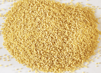 Kasza jaglana – dlaczego warto ją jeść i z czym najlepiej smakuje?