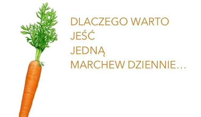 ZOBACZ DLACZEGO JEDNA MARCHEW DZIENNIE MOŻE URATOWAĆ CI ŻYCIE…
