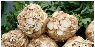 CZY TA SURÓWKA Z SELERA MA MOC SPALANIA TŁUSZCZU?