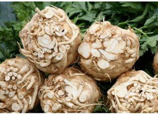 CZY TA SURÓWKA Z SELERA MA MOC SPALANIA TŁUSZCZU?