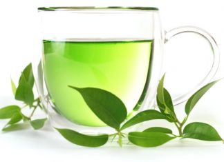 Yerba mate i zielona herbata – czy znasz różnice?