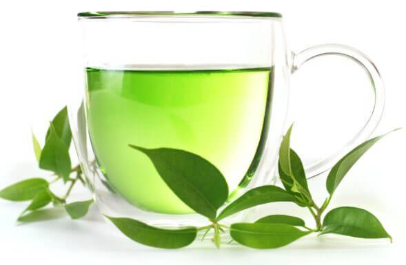 Yerba mate i zielona herbata – czy znasz różnice?