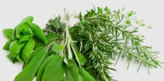 ZIOŁA I PRZYPRAWY W KUCHNI-10 naturalnych przypraw, które warto mieć w kuchni