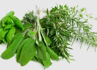 ZIOŁA I PRZYPRAWY W KUCHNI-10 naturalnych przypraw, które warto mieć w kuchni