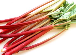 PAN RABARBAR-OWOC CZY WARZYWO?