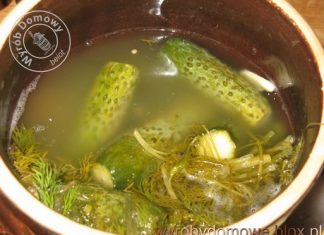 NAJLEPSZE OGÓRKI MAŁOSOLNE-ILE SOLI I JAKA ZALEWA?