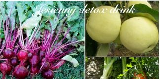 JAK ZROBIĆ SWÓJ WŁASNY JESIENNY DETOX DRINK?