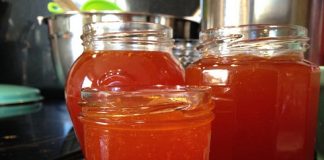 Jak zrobić sok, dżem i nalewkę z rokitnika