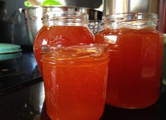 Jak zrobić sok, dżem i nalewkę z rokitnika