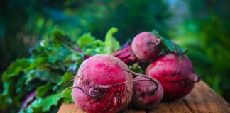 Zakwas z buraków-czy warto go pić? burak