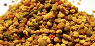 Niesamowite właściwości pyłku pszczelego