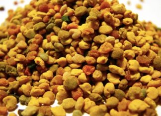 Niesamowite właściwości pyłku pszczelego