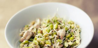 Czy wiesz, dlaczego kiełki są tak zdrowe?