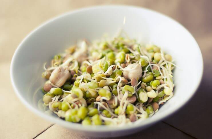 Czy wiesz, dlaczego kiełki są tak zdrowe?