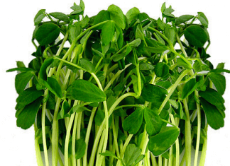 Dieta zmniejszająca stan zapalny (Hashimoto, RZS oraz inne autoimmunologiczne choroby zapalne)