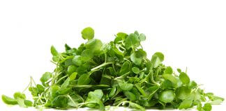 Czy znasz właściwości rzeżuchy wodnej?