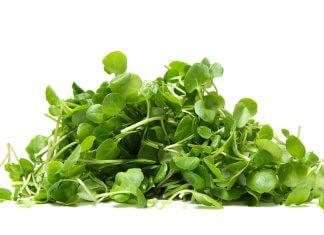 Czy znasz właściwości rzeżuchy wodnej?