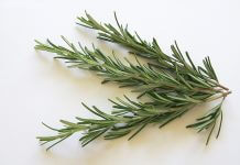 Niezwykłe właściwości rozmarynu! Czy wiedziałeś o nich?