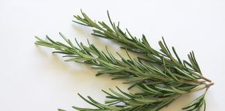 Niezwykłe właściwości rozmarynu! Czy wiedziałeś o nich?