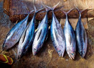 Najgroźniejsze trucizny w jedzeniu