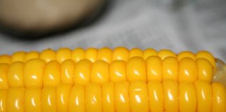 Czy jedzenie popcornu powoduje chorobę Alzheimera?