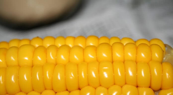 Czy jedzenie popcornu powoduje chorobę Alzheimera?