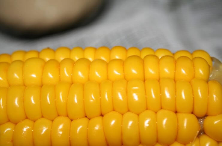 Czy jedzenie popcornu powoduje chorobę Alzheimera?