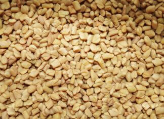 Właściwości kozieradki. Do czego używać i na co pomoże?