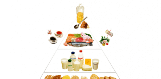 Nowa piramida żywienia, czyli co jeść aby zachować zdrowie