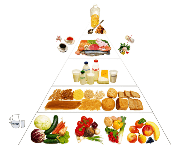 Nowa piramida żywienia, czyli co jeść aby zachować zdrowie
