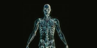 Jaka powinna być dieta przy dnie moczanowej? Sprawdź specjalnie przygotowany jadłospis dna moczanowa