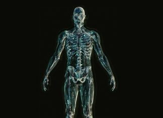 Jaka powinna być dieta przy dnie moczanowej? Sprawdź specjalnie przygotowany jadłospis dna moczanowa