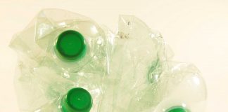 Czy plastikowe butelki mogą zagrażać Twojemu zdrowiu?