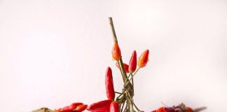 Najważniejsze produkty wzmacniające metabolizm