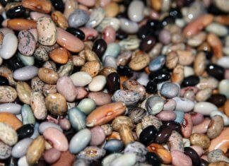 Czy wiesz, że białko roślinne zapewnia dłuższe życie? białko roślinne