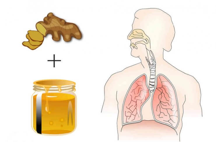 Ta prosta mikstura usunie nadmiaru śluzu z oskrzeli! oczyszczenie oskrzeli